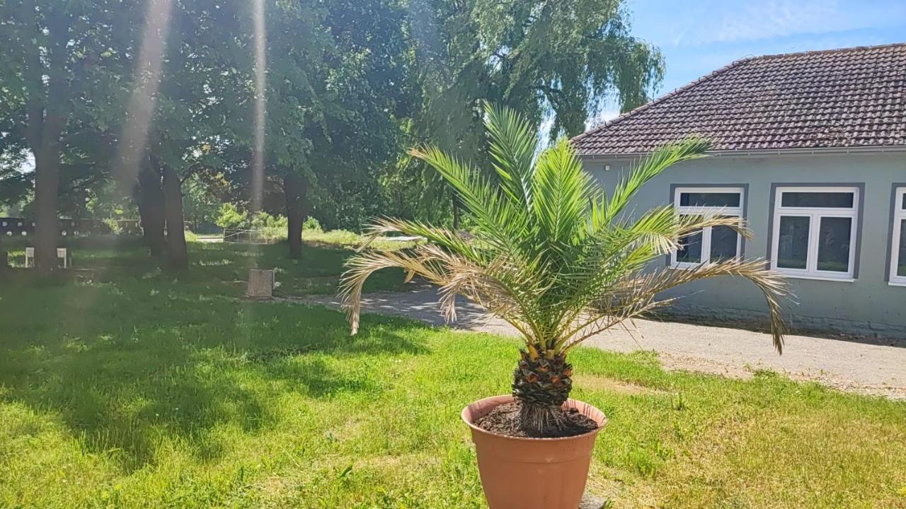 Pension Hopela Гота Экстерьер фото
